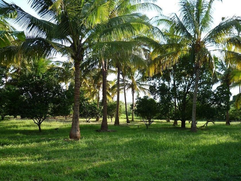 Simbamwenni Lodge And Camping Morogoro Exterior foto